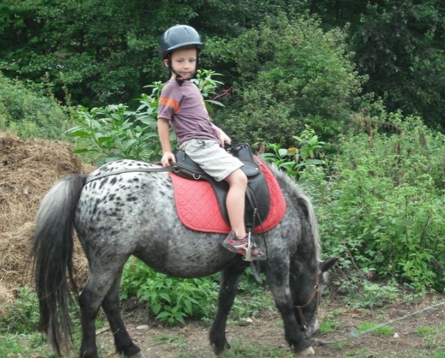 Reiten in Sare